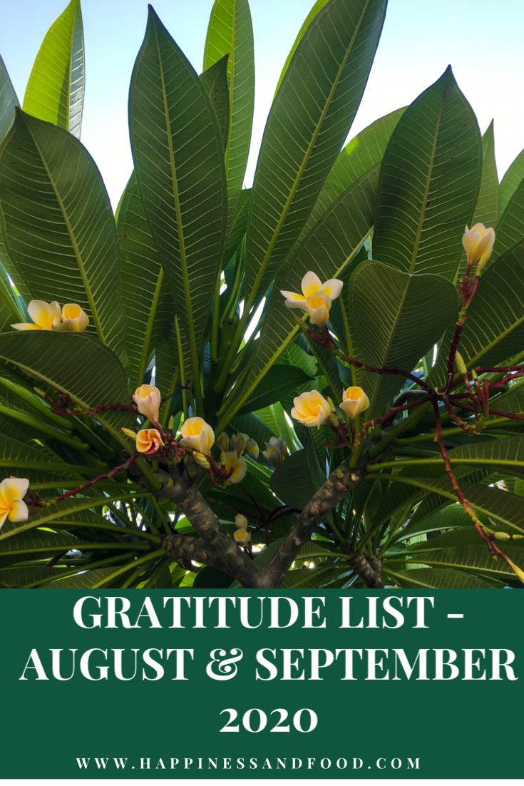 Gratitude List - August & September 2020
